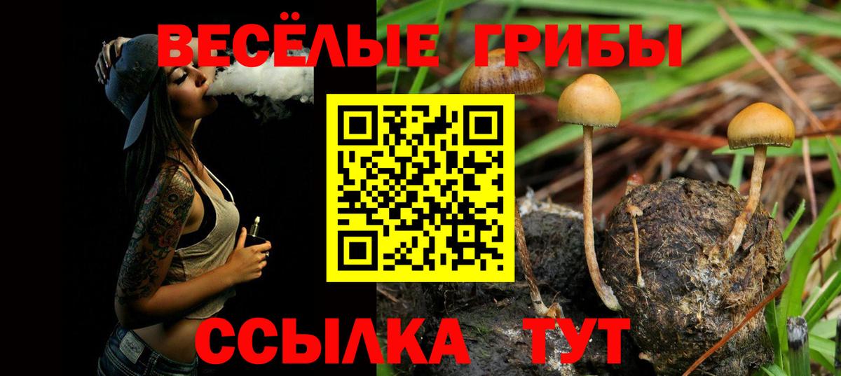 Галлюциногенные грибы мицелий  наркота  Вязники  Вход с VPN  Галлюциногенные грибы GOLDEN TEACHER 