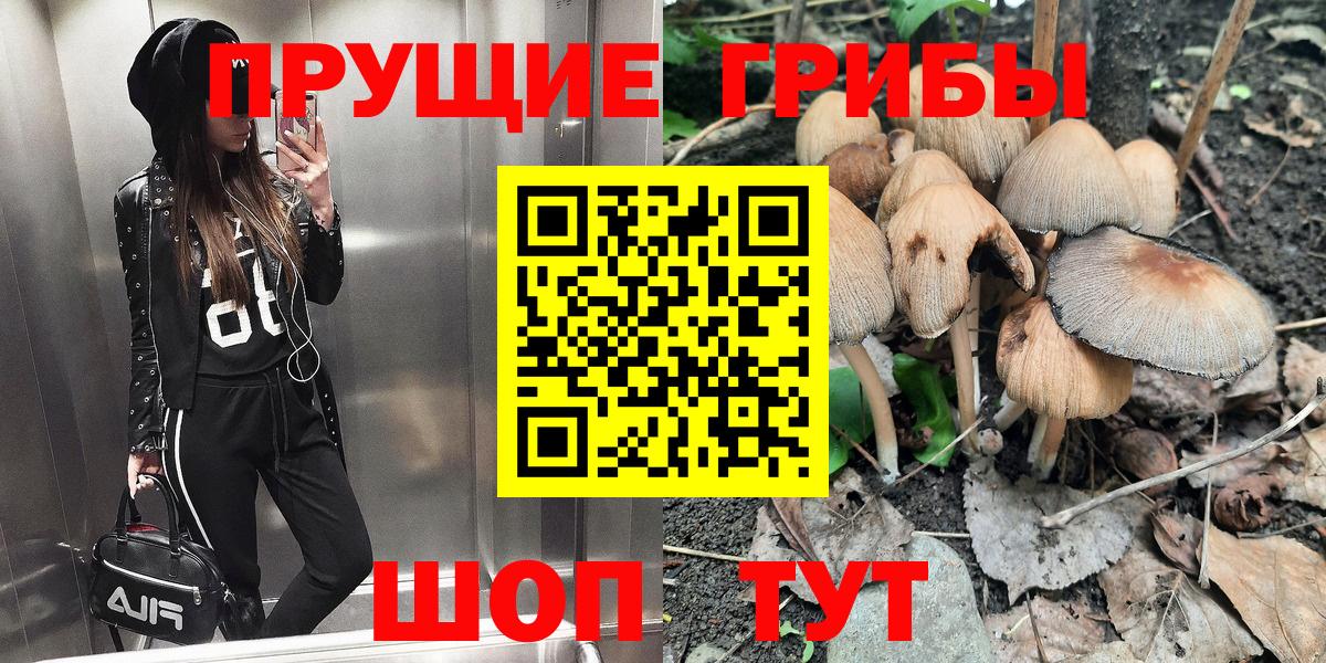 Галлюциногенные грибы Psilocybe Вязники