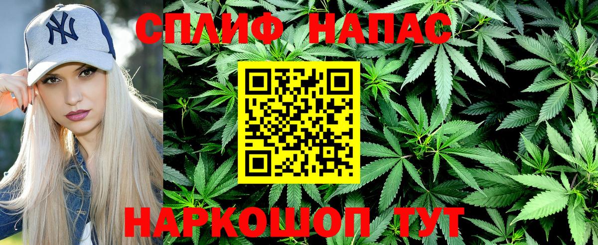 Бошки марихуана Amnesia Вязники